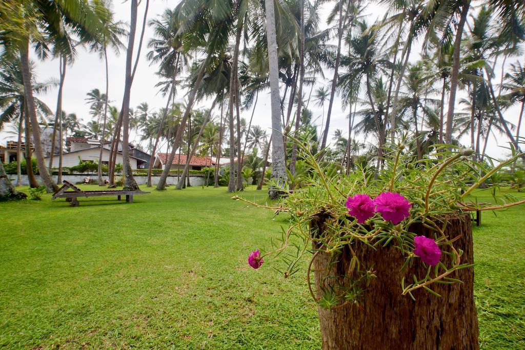 Chitra Ayurveda Hotel Bentota Buitenkant foto