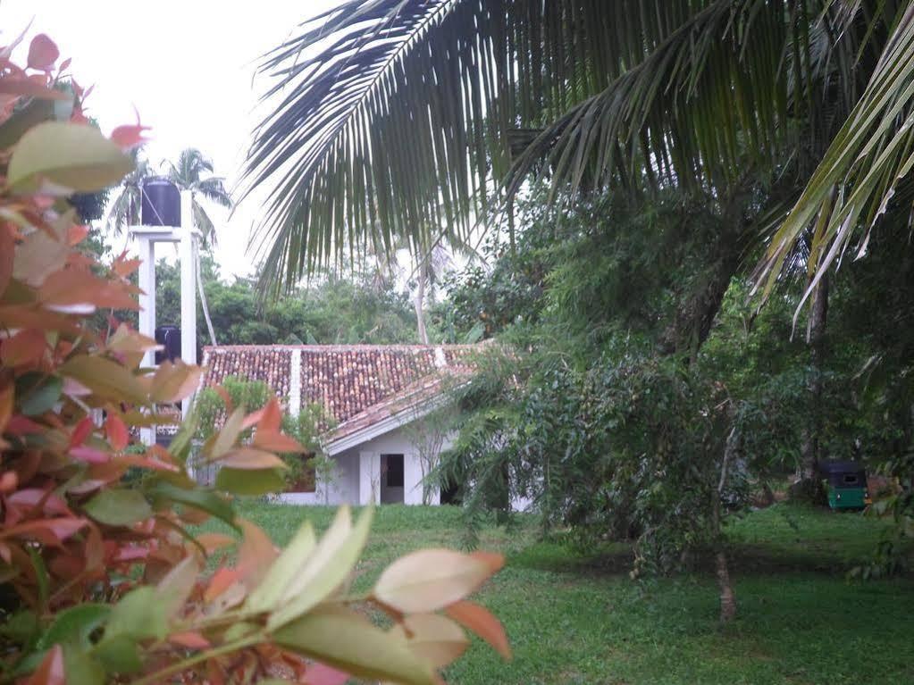 Chitra Ayurveda Hotel Bentota Buitenkant foto